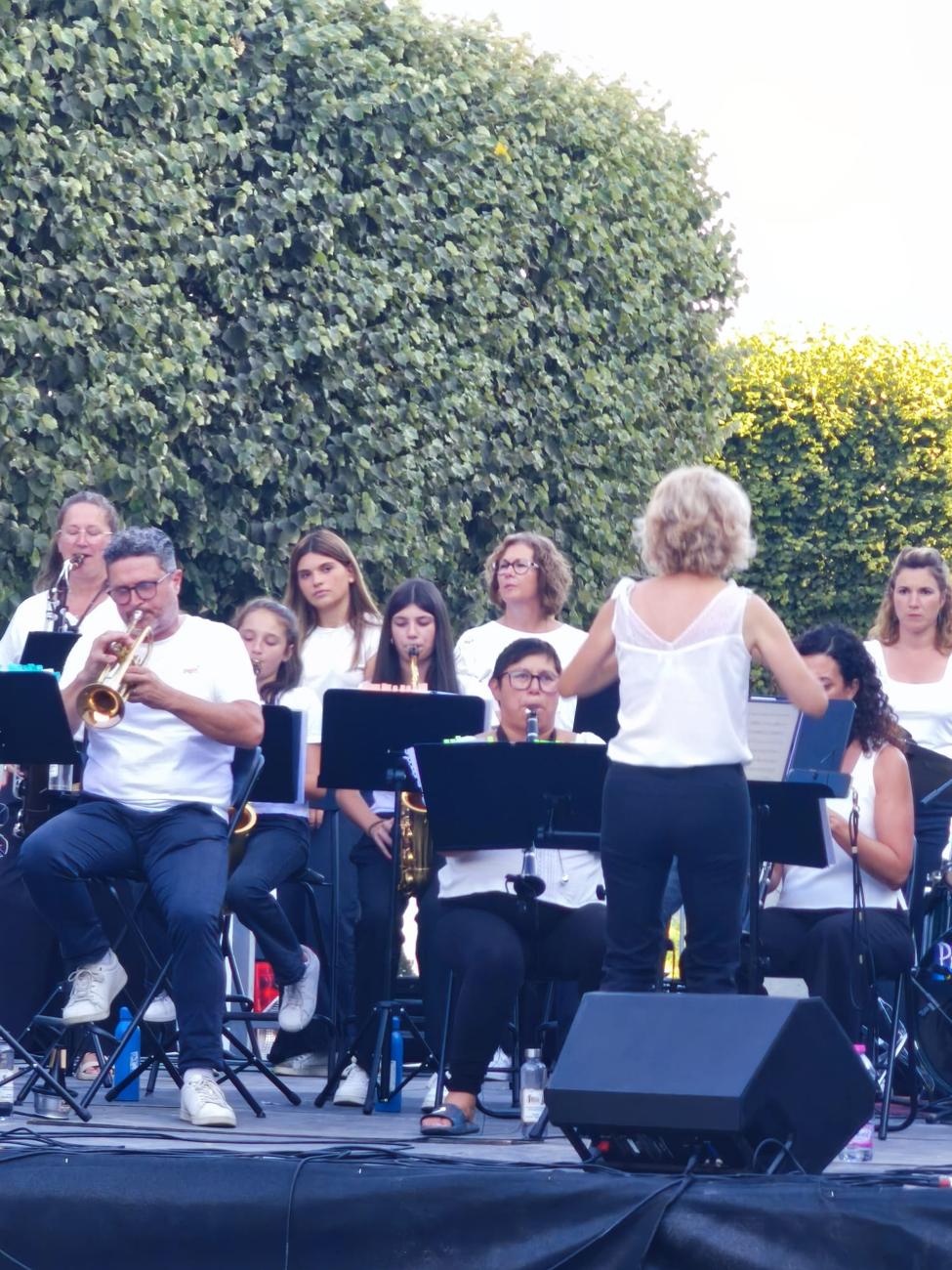 Natacha dirige l'orchestre, Pau